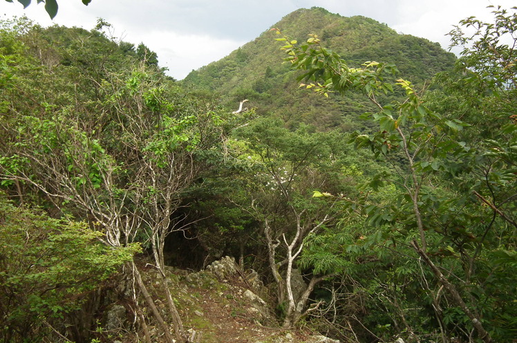 Mount Mitake (Hyōgo)