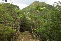 Mount Mitake (Hyōgo) photo