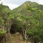 Mount Mitake (Hyōgo)