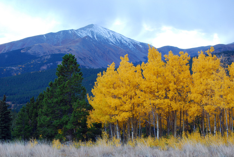 Mount Silverheels weather