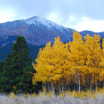 Mount Silverheels