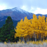 Mount Silverheels