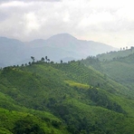 Doi Phu Kha