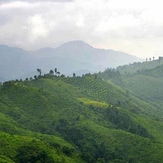 Doi Phu Kha