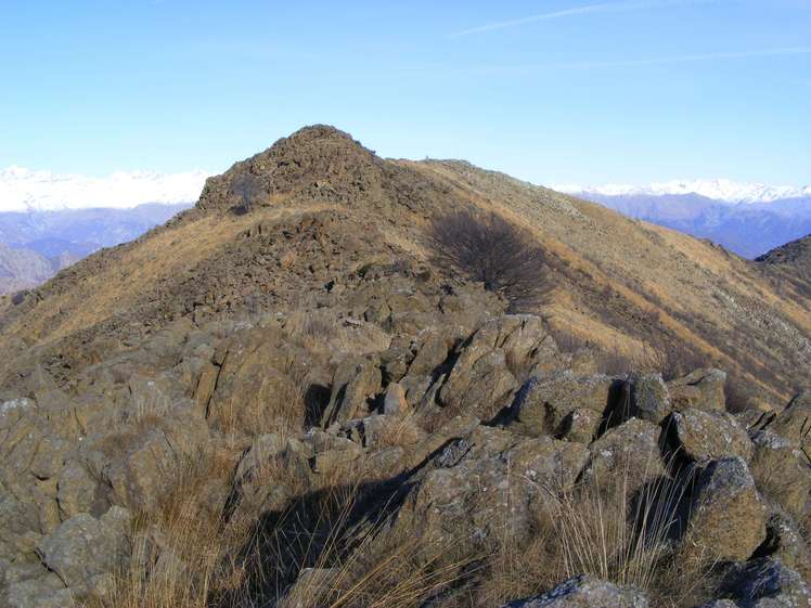 Monte Colombano weather