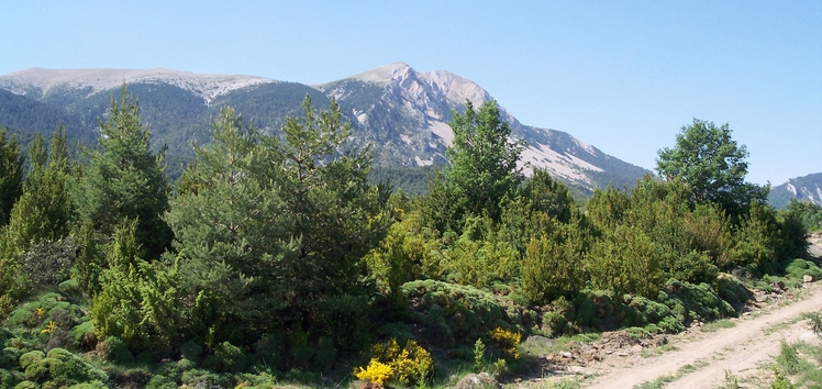 Sierra de Guara