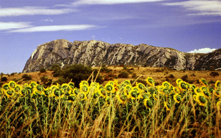 Pic Saint-Loup weather