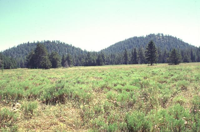 Twin Buttes