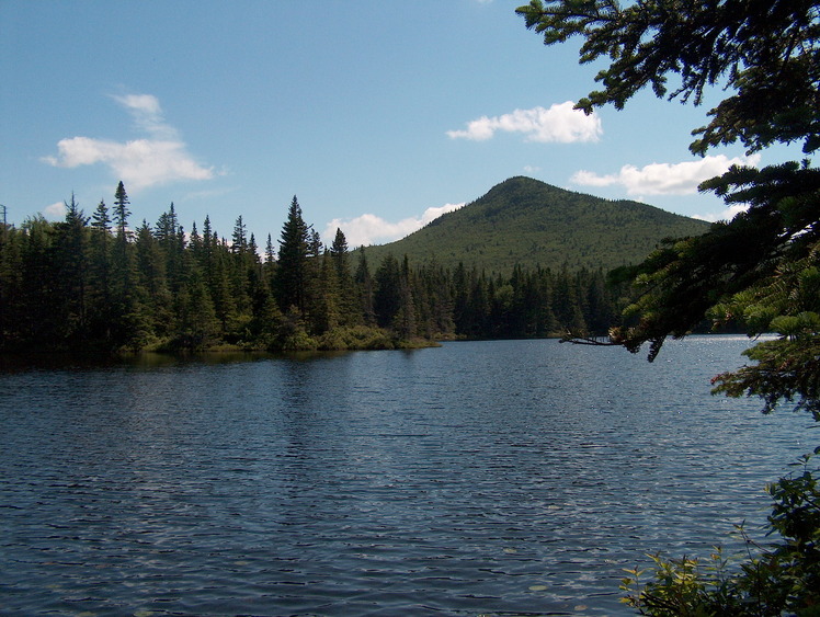 The Horn (New Hampshire) weather