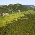 Mokra Gora (mountain), Mokra Gora (Pogled)