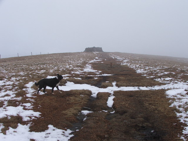 Great Shunner Fell