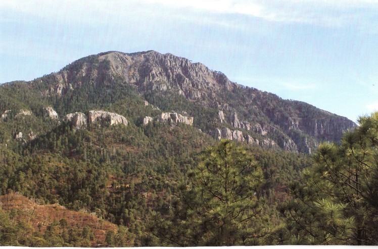 Cerro Mohinora