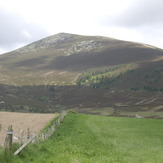 Ben Rinnes