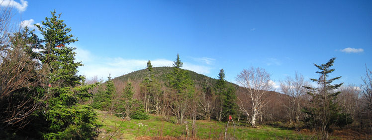 Thomas Cole Mountain weather