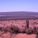 Cima Dome &amp; Volcanic Field National Natural Landmark