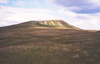 Mickle Fell photo