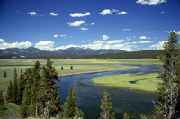 Yellowstone photo