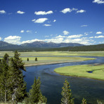 Yellowstone