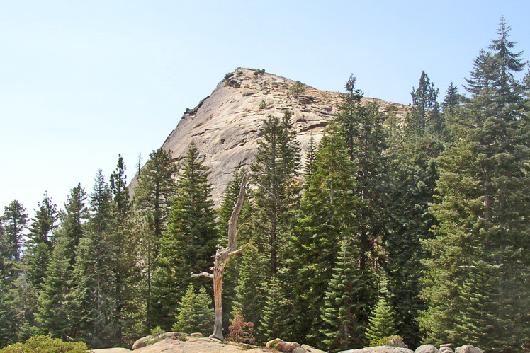 Fresno Dome