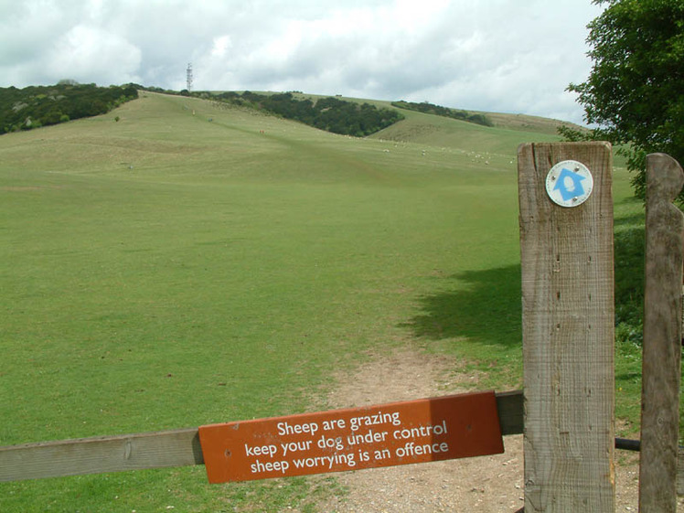 Butser Hill weather