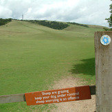 Butser Hill