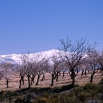 Caballo