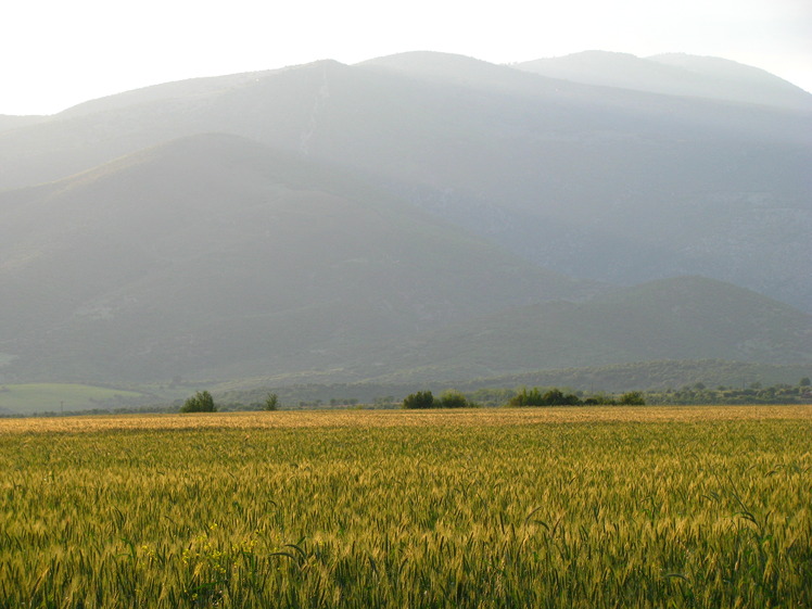 Mount Paiko