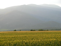 Mount Paiko photo