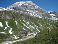 Piz Üertsch photo