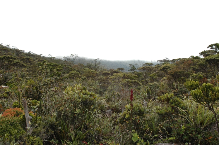 Mount Murud Sarawak