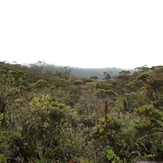 Mount Murud Sarawak