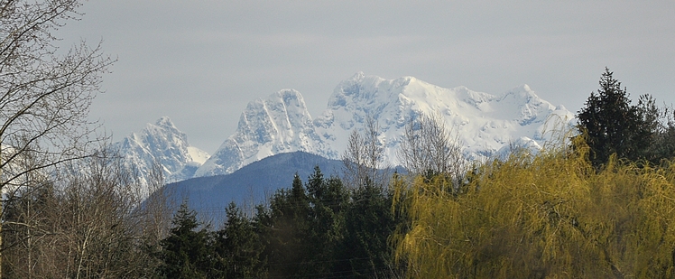 Mount Robie Reid weather