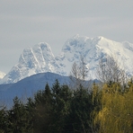 Mount Robie Reid