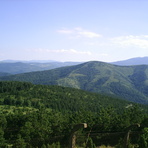 Goč