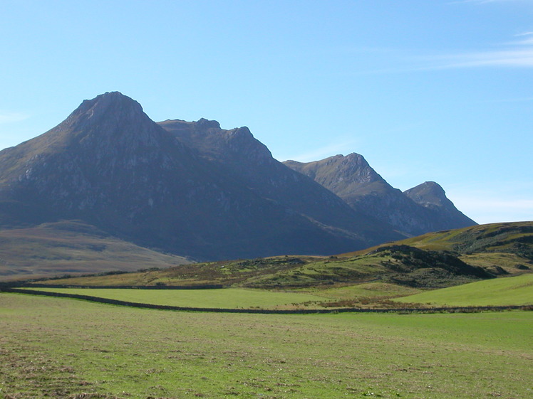 Ben Loyal