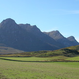 Ben Loyal