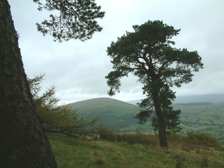 Little Mell Fell