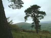 Little Mell Fell photo