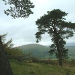 Little Mell Fell