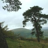 Little Mell Fell