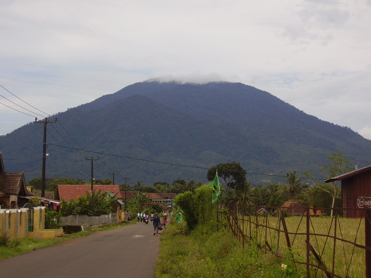 Karang