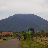 Karang