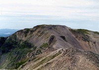 Conival photo