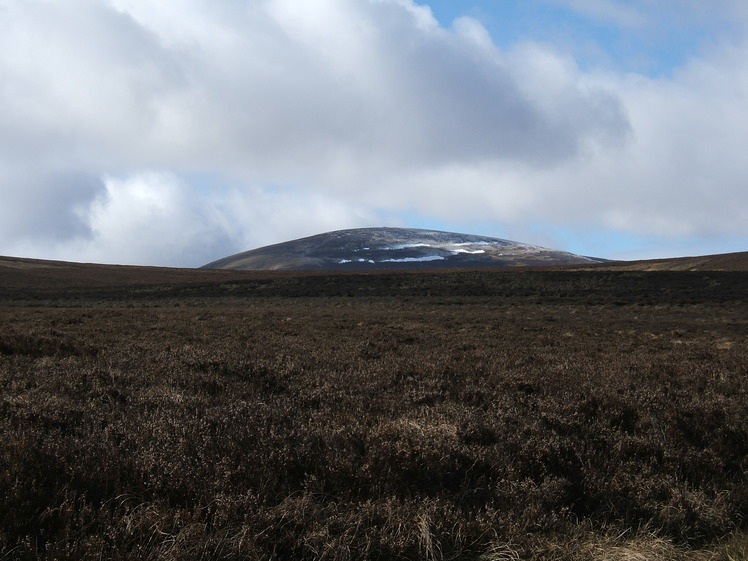 The Cheviot