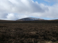 The Cheviot photo