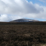 The Cheviot