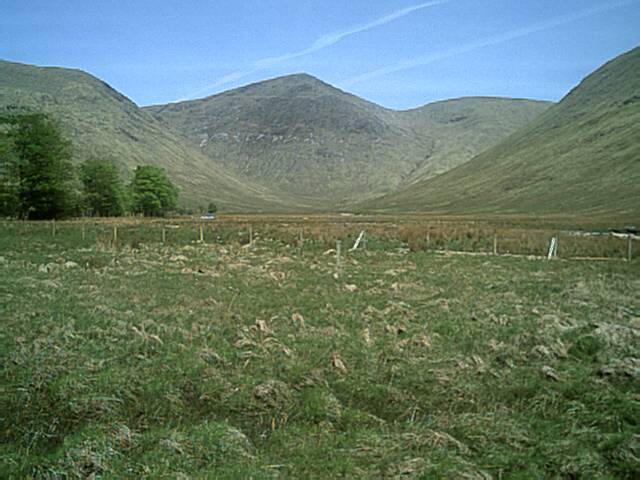 Creach Bheinn