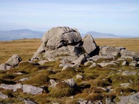 Ward's Stone photo