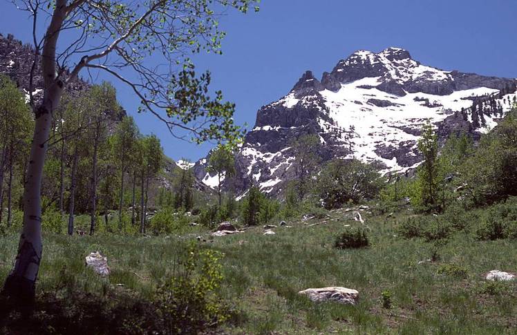 Mount Gilbert (Nevada) weather