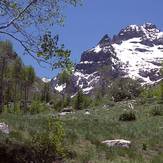 Mount Gilbert (Nevada)